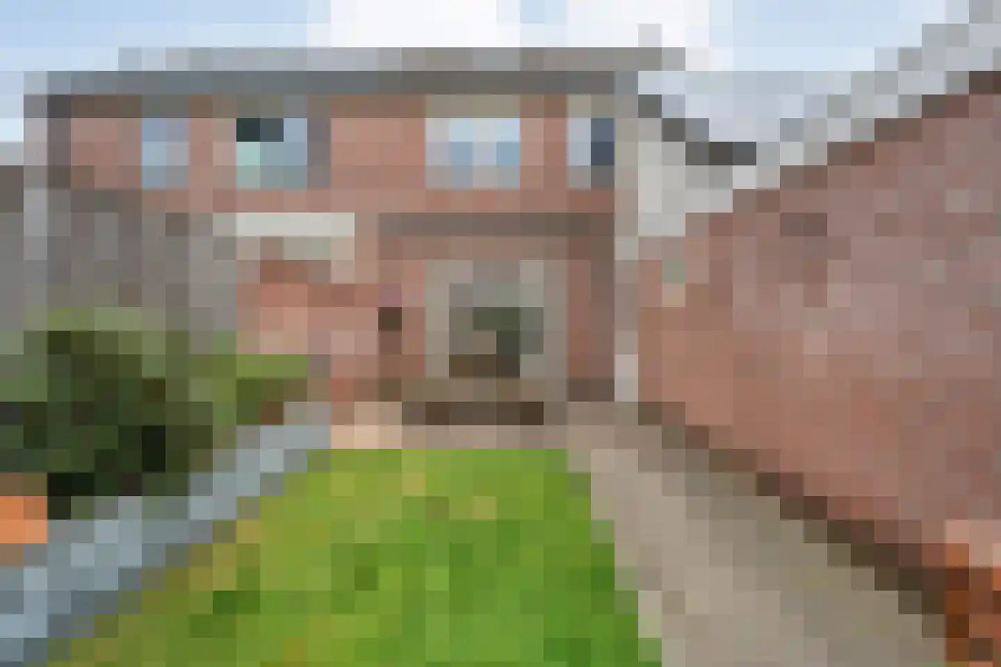 Loozermars-Noord 23 Gramsbergen thumbnail 40