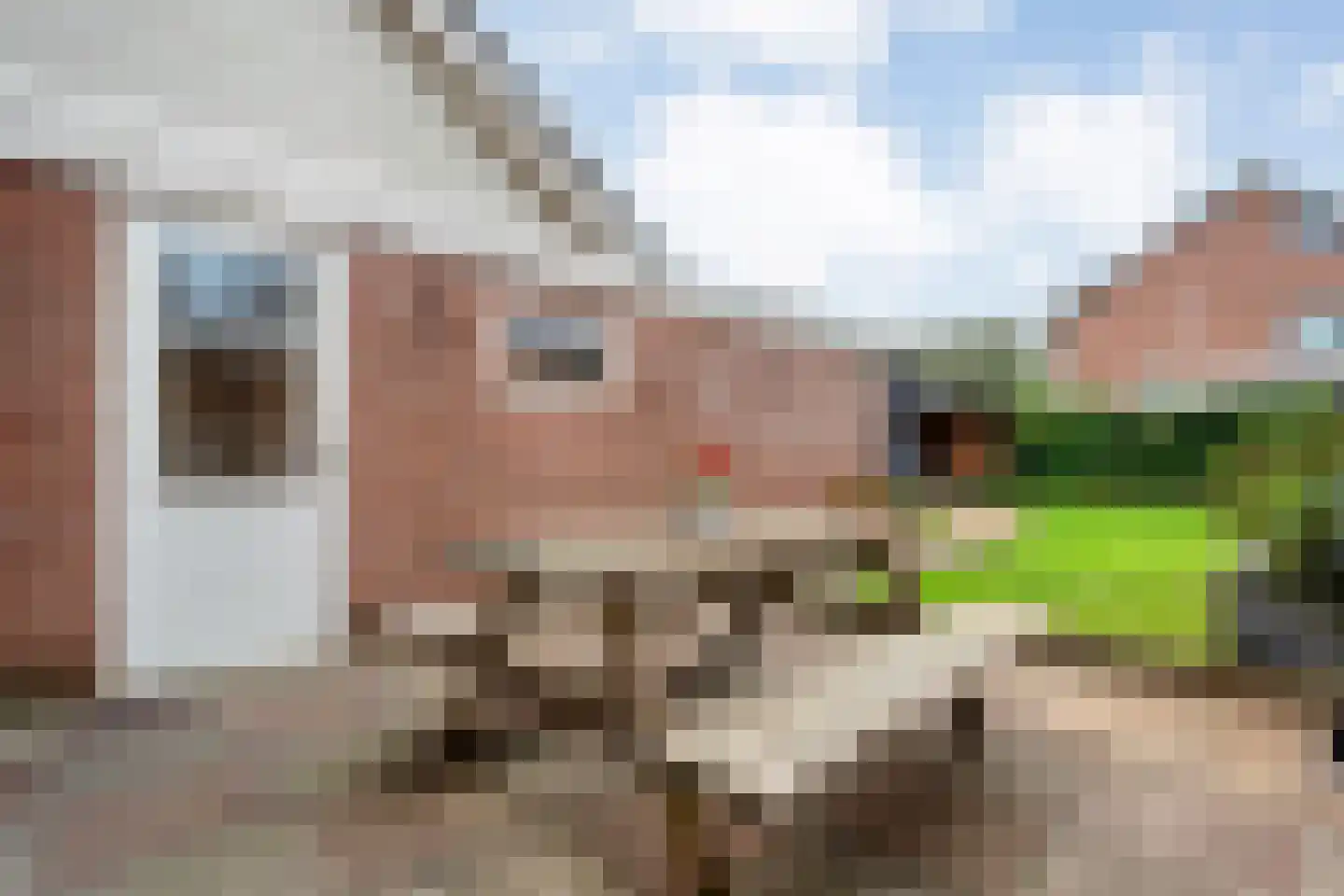 Loozermars-Noord 23 Gramsbergen thumbnail 41