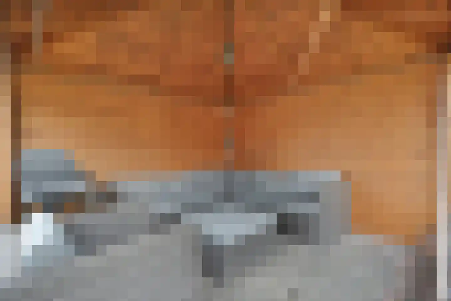 Loozermars-Noord 23 Gramsbergen thumbnail 43