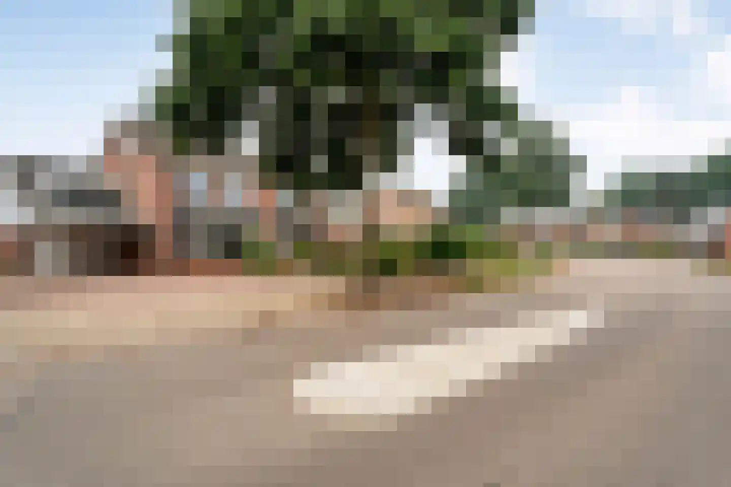 Loozermars-Noord 23 Gramsbergen thumbnail 47