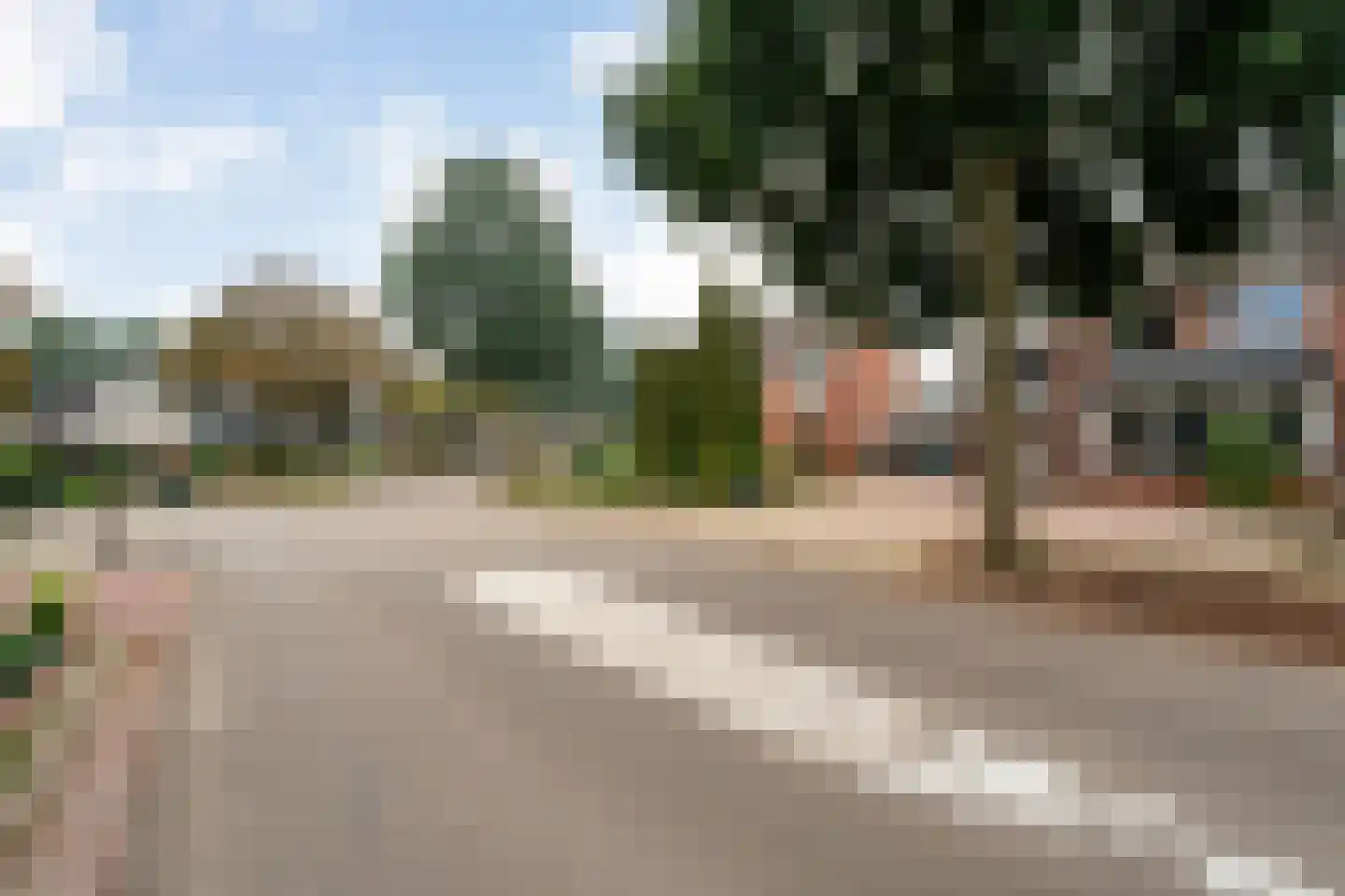 Loozermars-Noord 23 Gramsbergen thumbnail 48