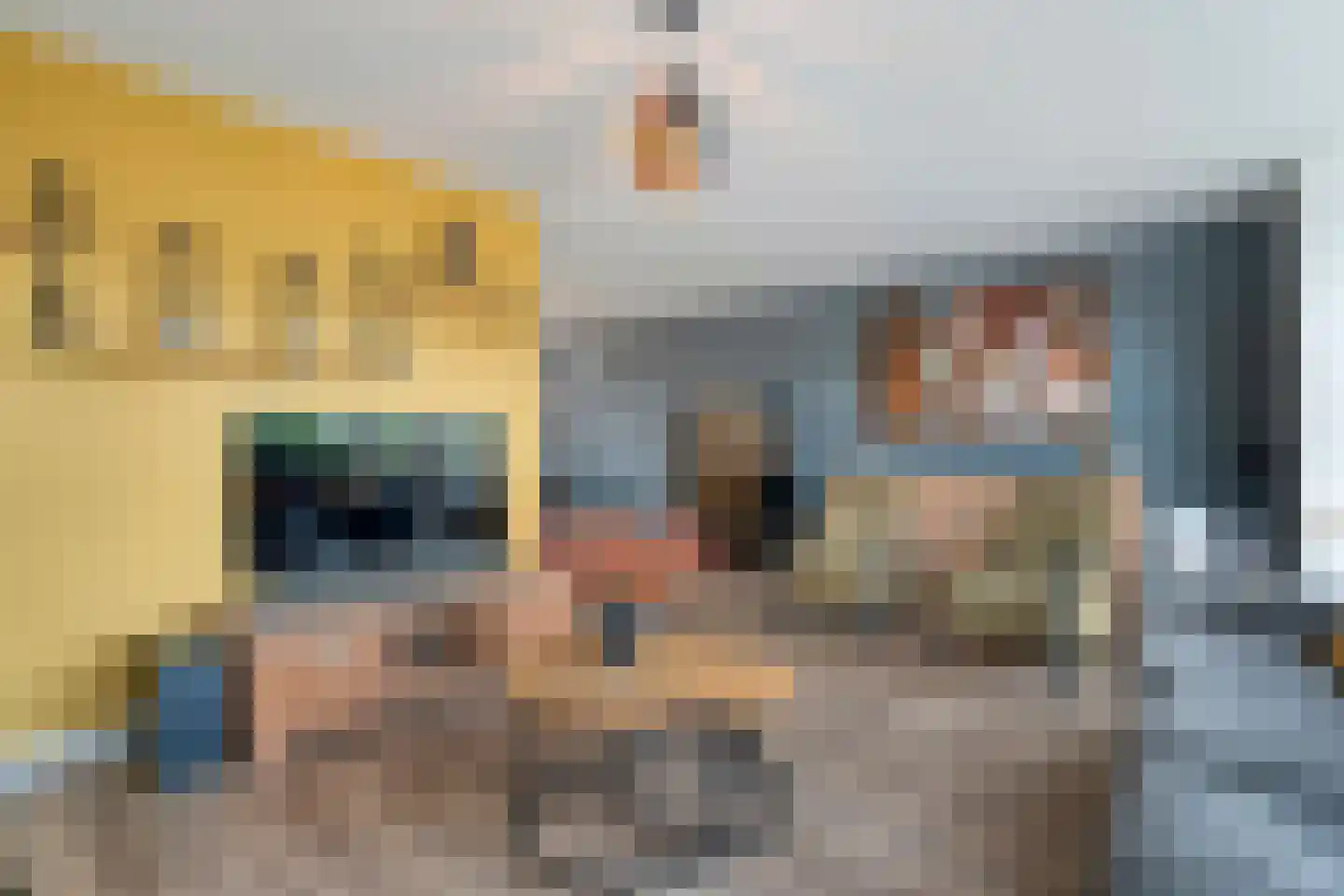 Loozermars-Noord 23 Gramsbergen thumbnail 5