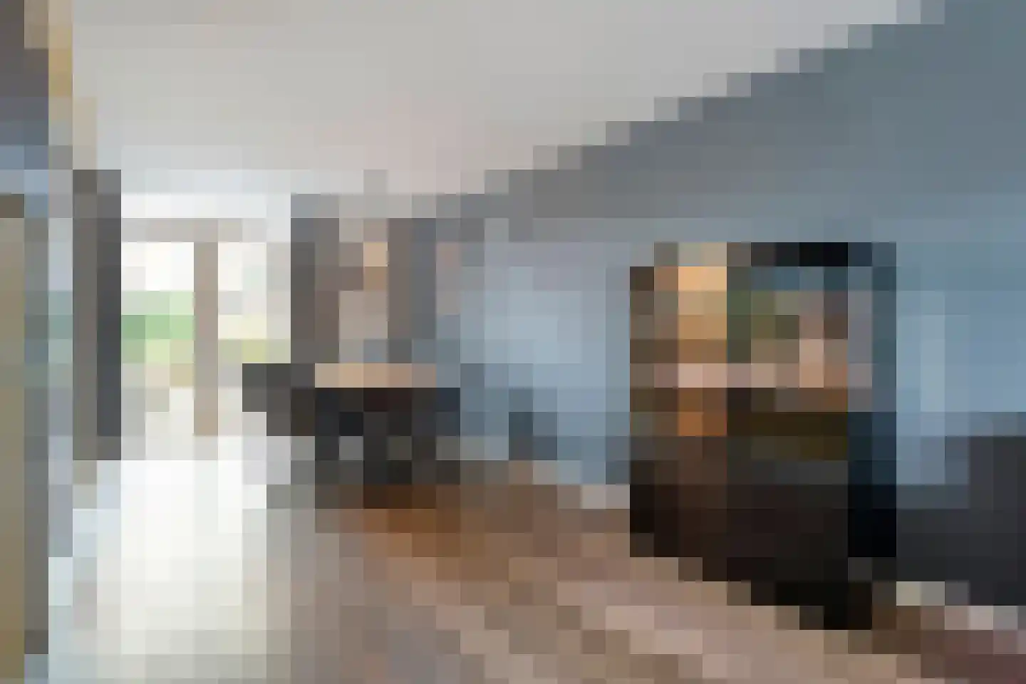 Loozermars-Noord 23 Gramsbergen thumbnail 6