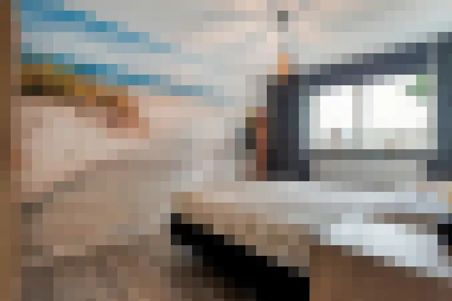 Loozermars-Noord 23 Gramsbergen thumbnail 9