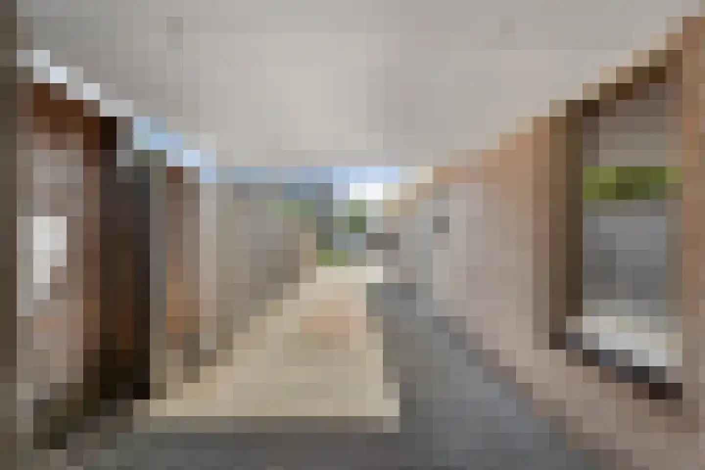 Loozermars-Zuid 23 Gramsbergen thumbnail 10