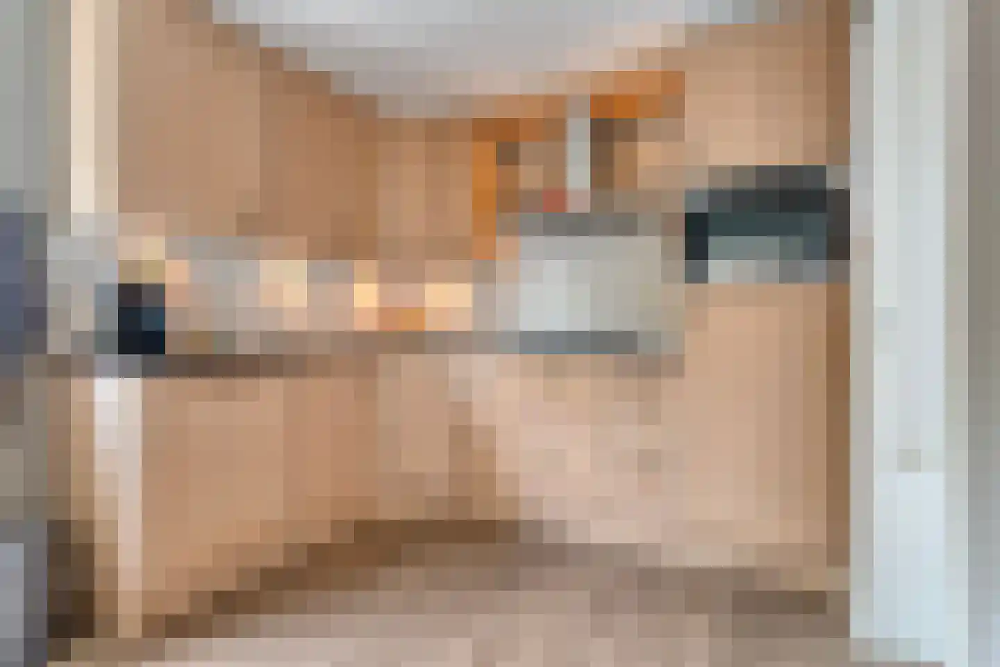 Loozermars-Zuid 23 Gramsbergen thumbnail 21
