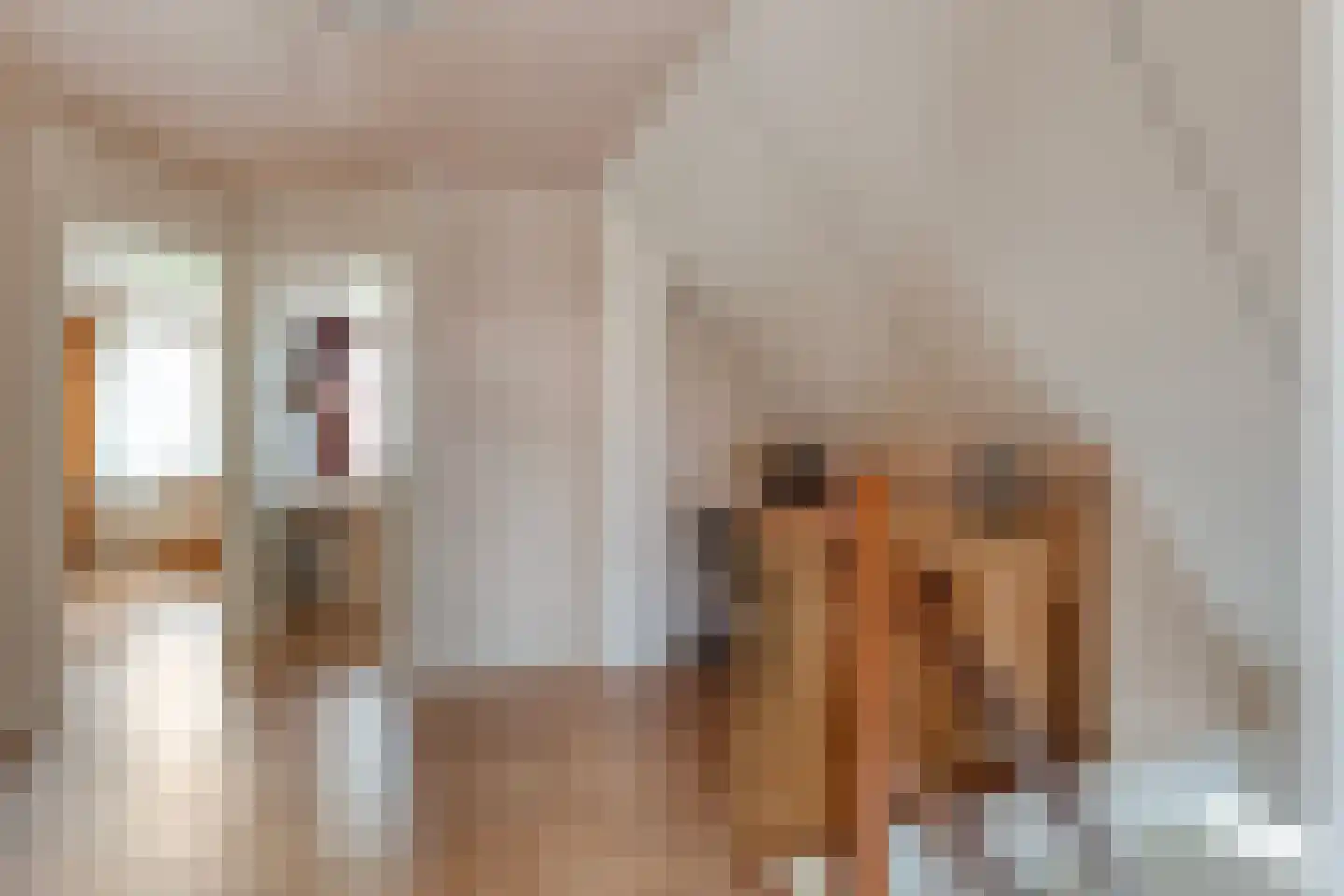 Loozermars-Zuid 23 Gramsbergen thumbnail 31