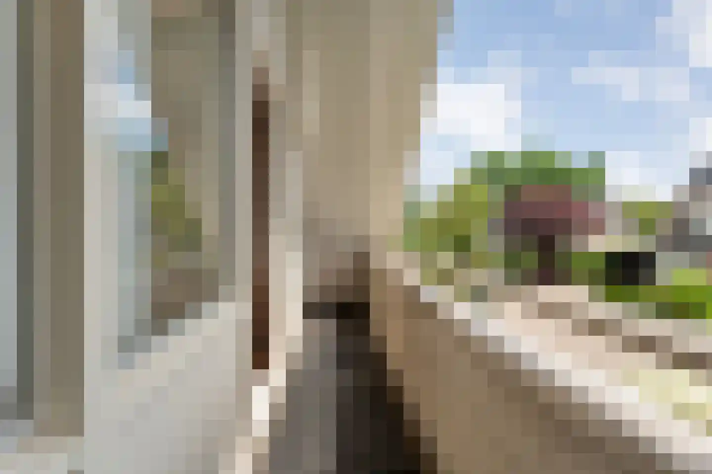 Loozermars-Zuid 23 Gramsbergen thumbnail 39