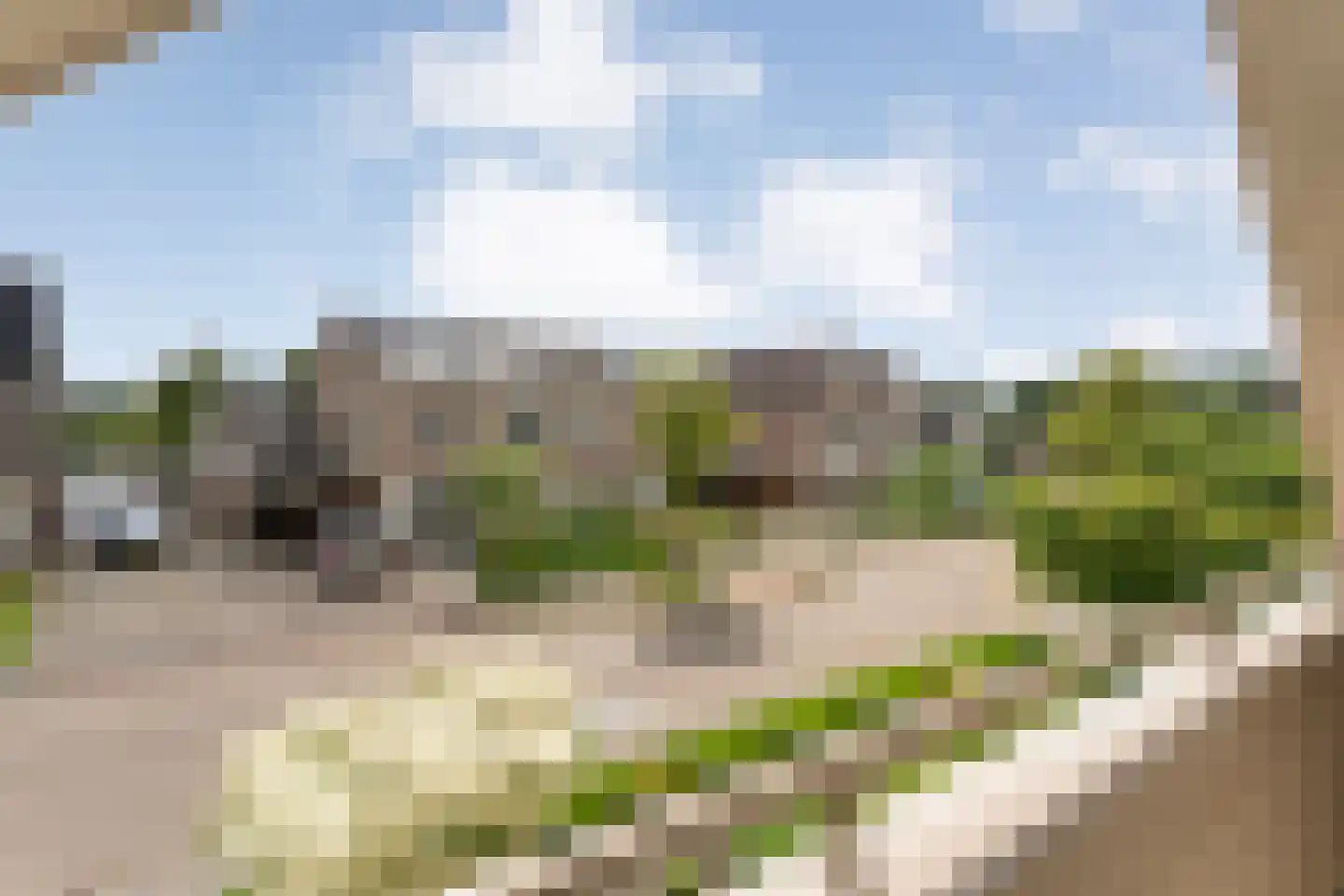 Loozermars-Zuid 23 Gramsbergen thumbnail 40