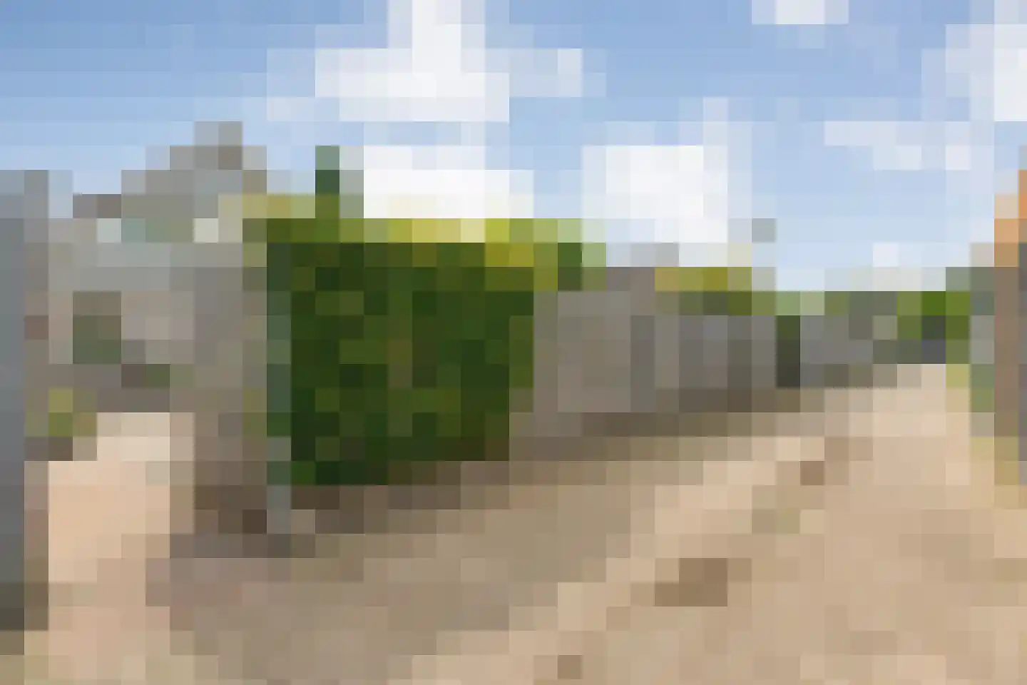 Loozermars-Zuid 23 Gramsbergen thumbnail 47