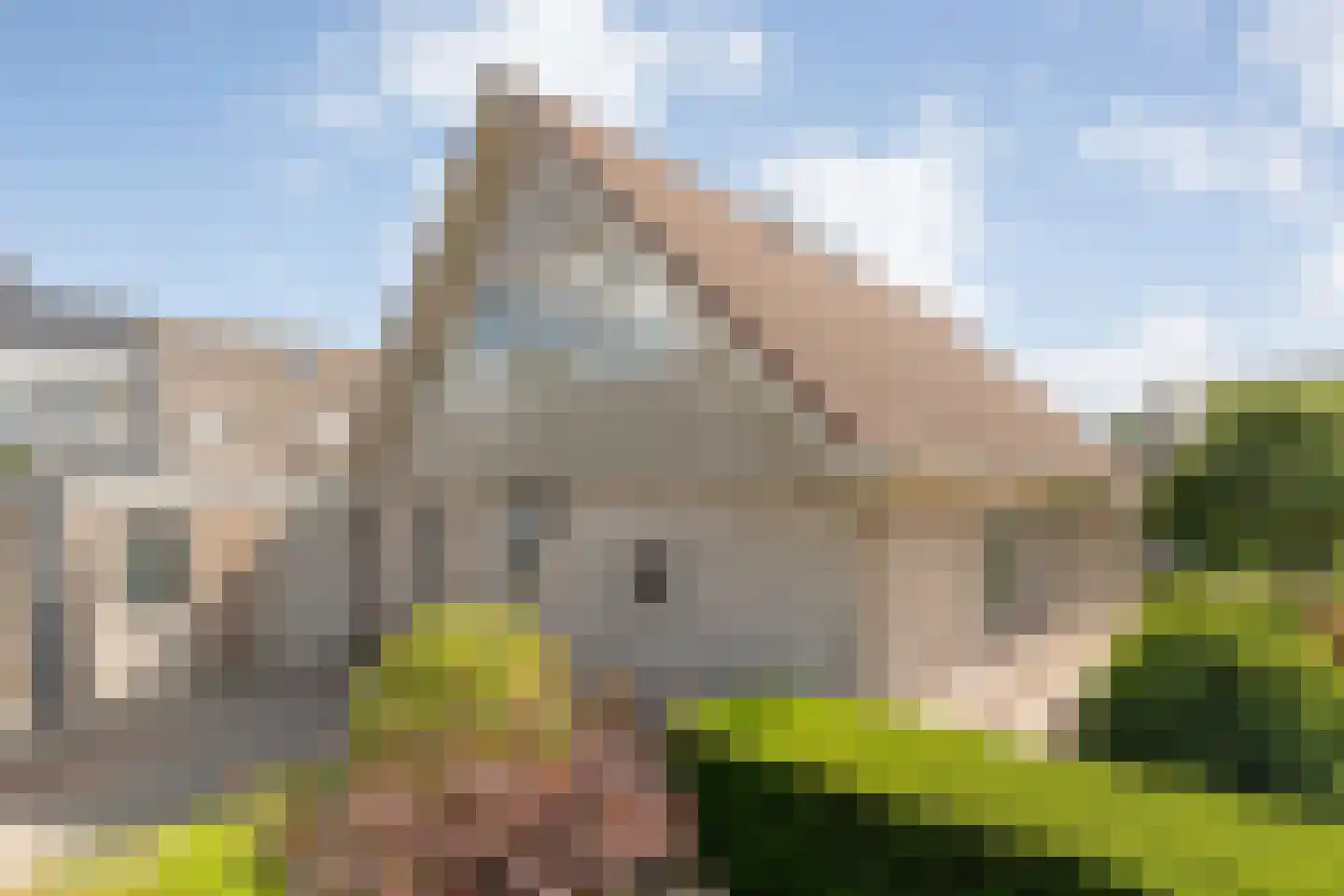 Loozermars-Zuid 23 Gramsbergen thumbnail 53