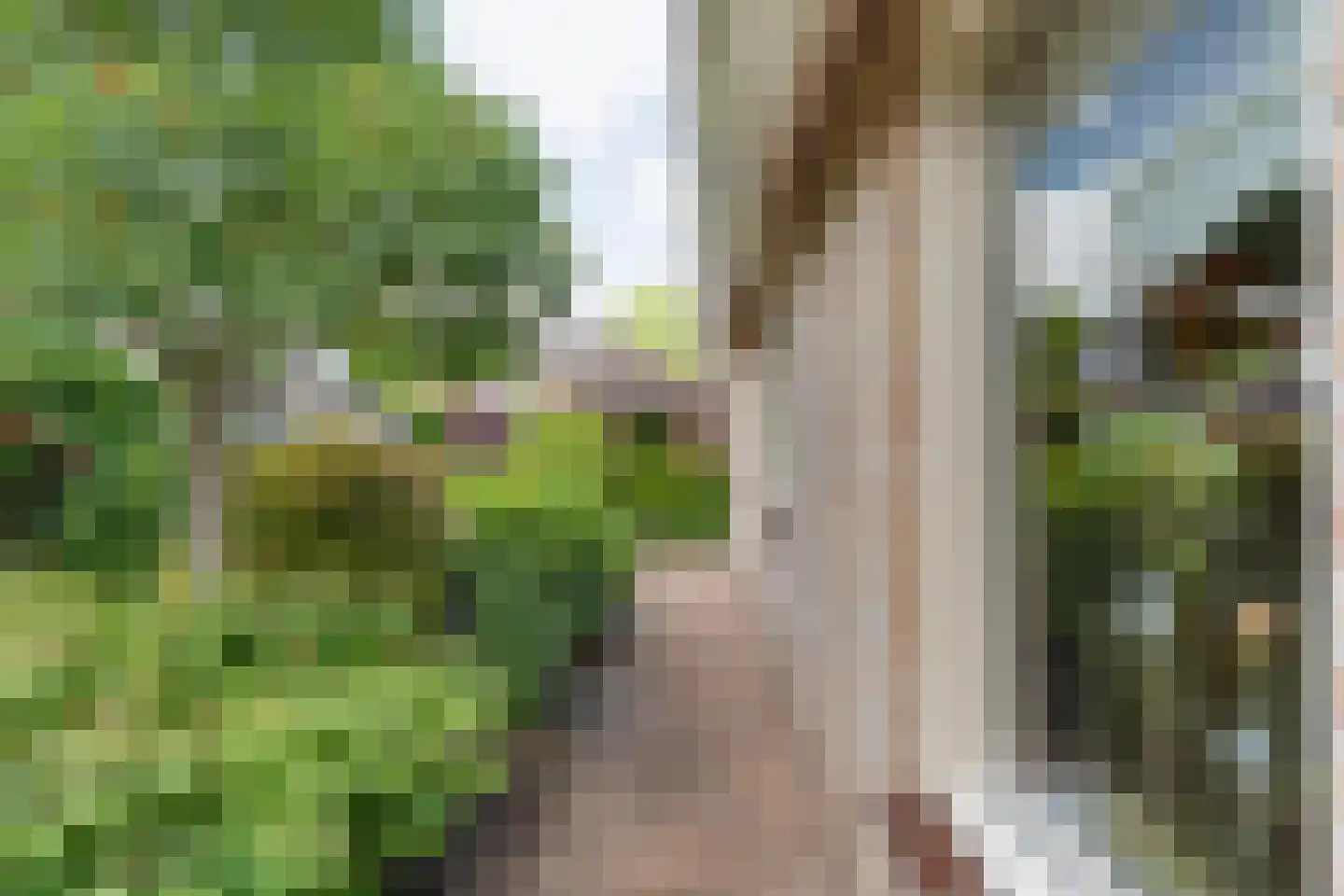 Loozermars-Zuid 23 Gramsbergen thumbnail 56