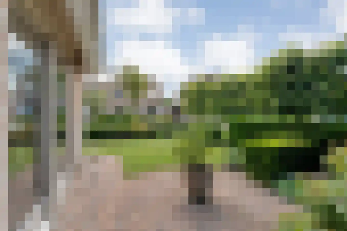 Loozermars-Zuid 23 Gramsbergen thumbnail 57