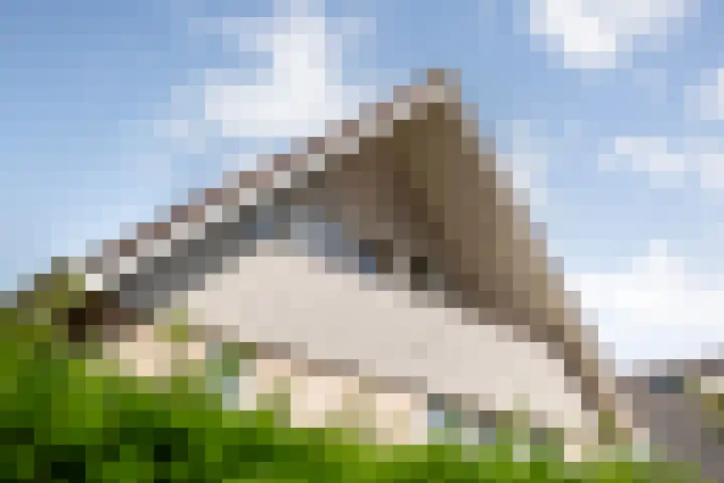 Loozermars-Zuid 23 Gramsbergen thumbnail 6