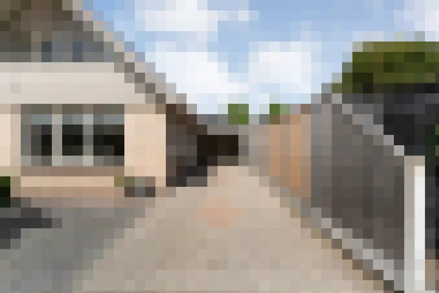 Loozermars-Zuid 23 Gramsbergen thumbnail 7