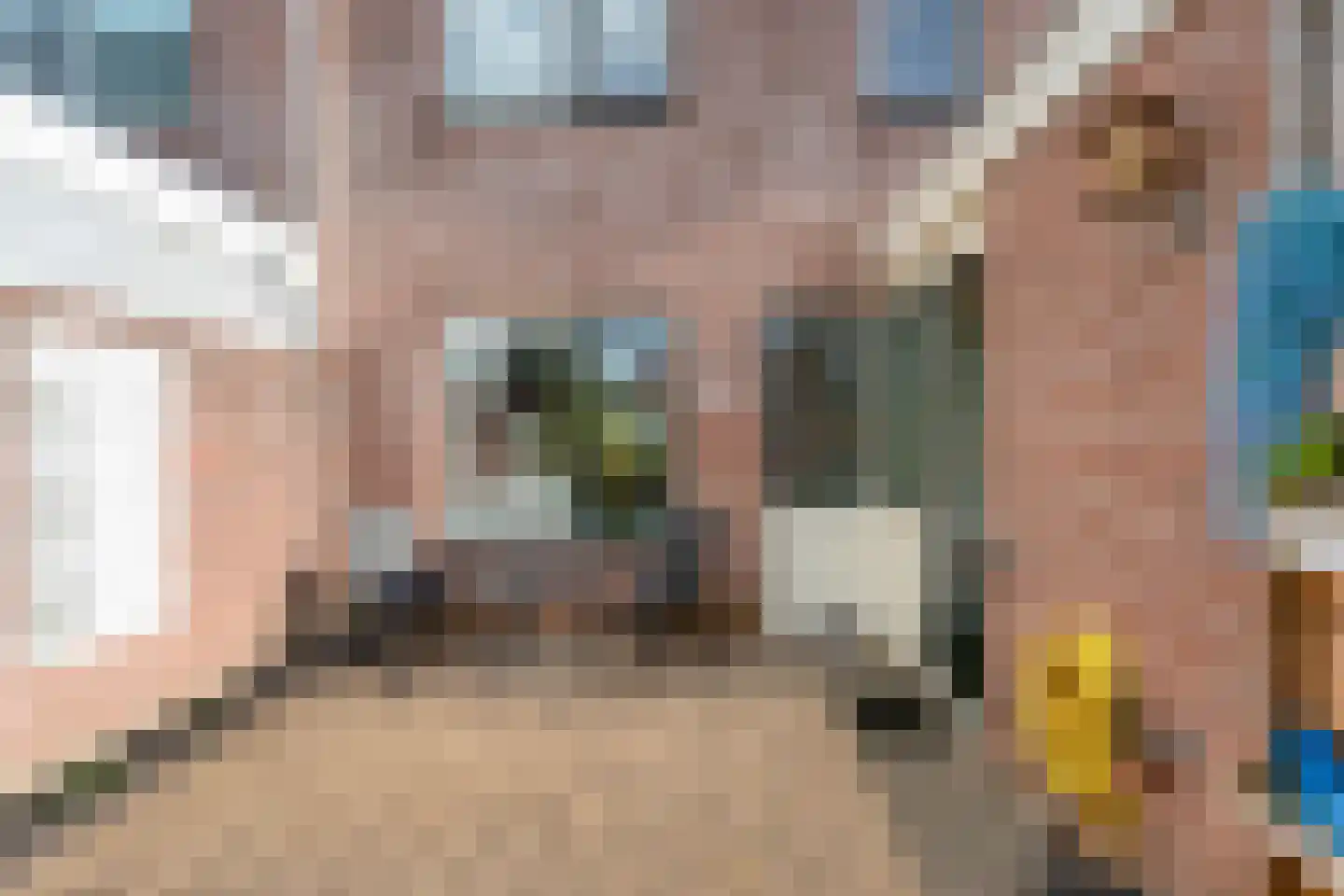 Loozermars-Zuid 29 a Gramsbergen thumbnail 41