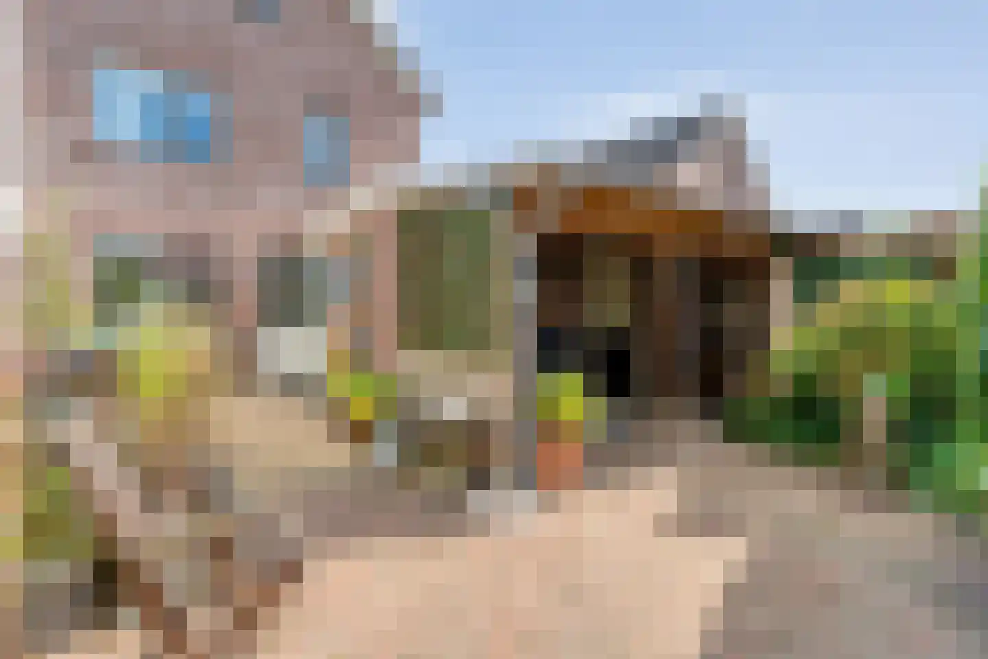 Loozermars-Zuid 29 a Gramsbergen thumbnail 42