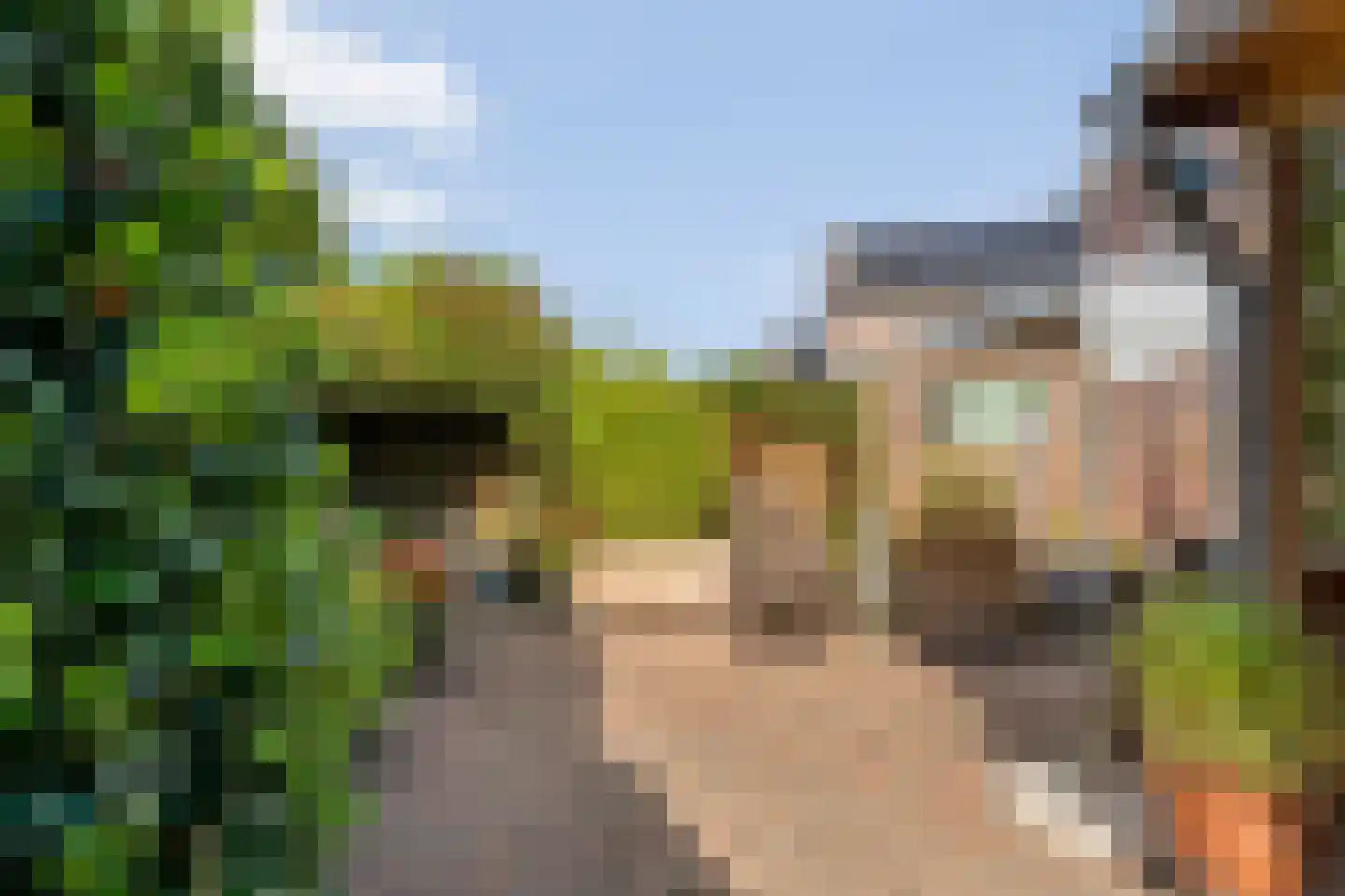 Loozermars-Zuid 29 a Gramsbergen thumbnail 43