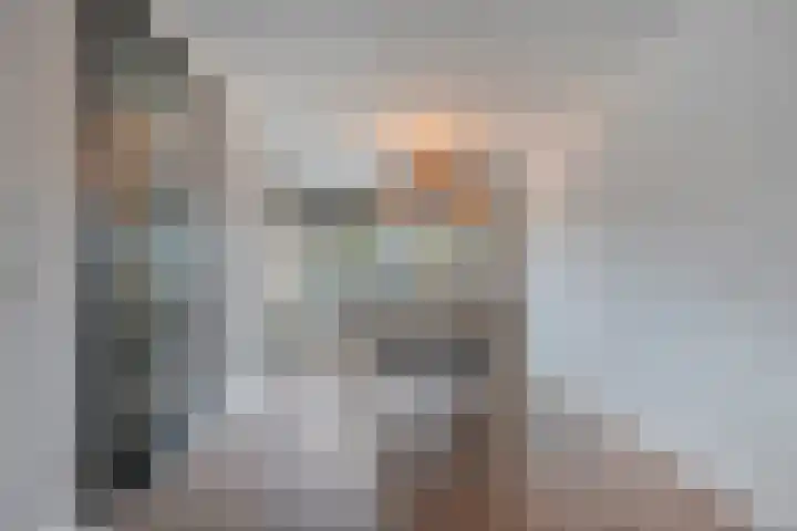 Loozermars-Zuid 44 Gramsbergen thumbnail 10