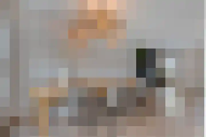 Loozermars-Zuid 44 Gramsbergen thumbnail 11