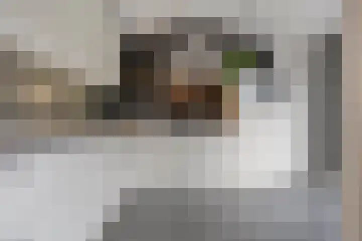 Loozermars-Zuid 44 Gramsbergen thumbnail 12