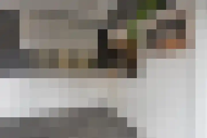 Loozermars-Zuid 44 Gramsbergen thumbnail 15