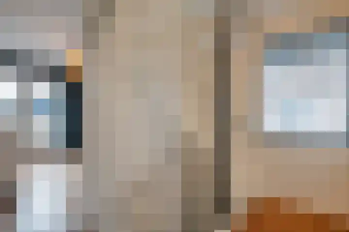 Loozermars-Zuid 44 Gramsbergen thumbnail 17