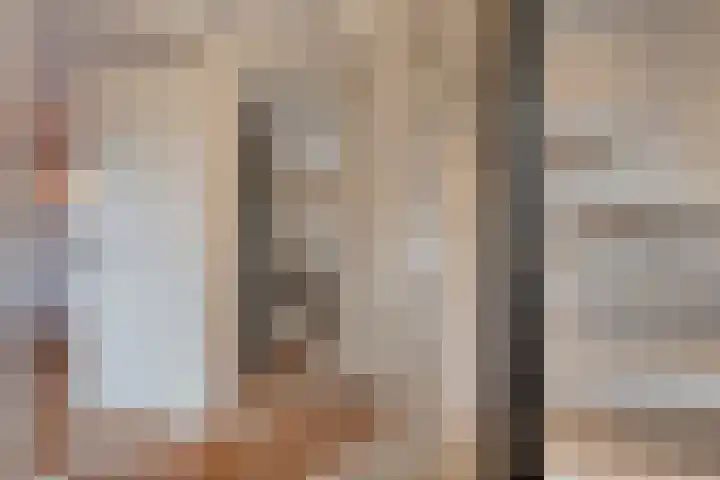 Loozermars-Zuid 44 Gramsbergen thumbnail 18