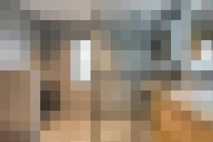 Loozermars-Zuid 44 Gramsbergen thumbnail 19