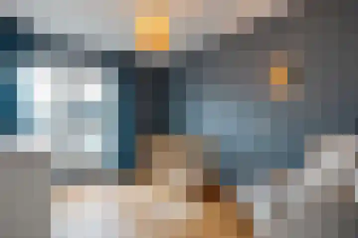 Loozermars-Zuid 44 Gramsbergen thumbnail 22