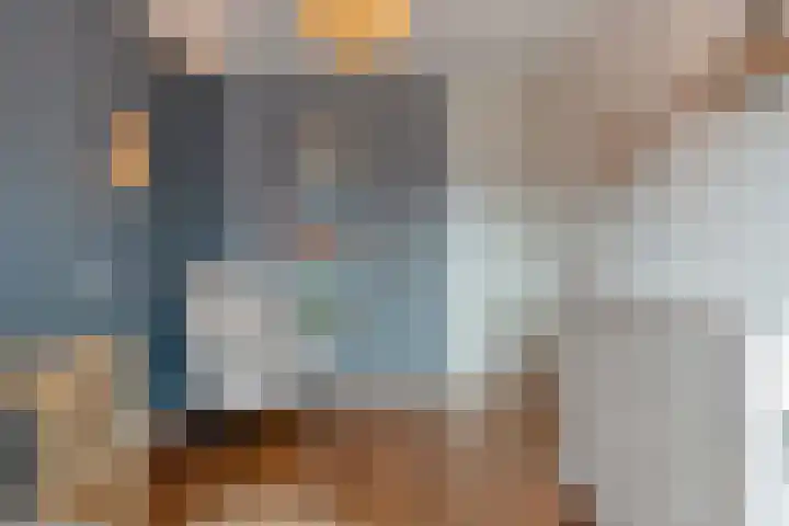Loozermars-Zuid 44 Gramsbergen thumbnail 23