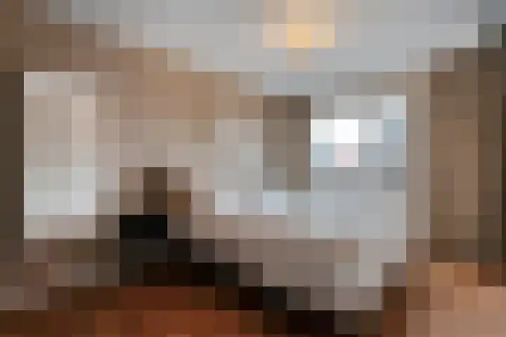 Loozermars-Zuid 44 Gramsbergen thumbnail 24