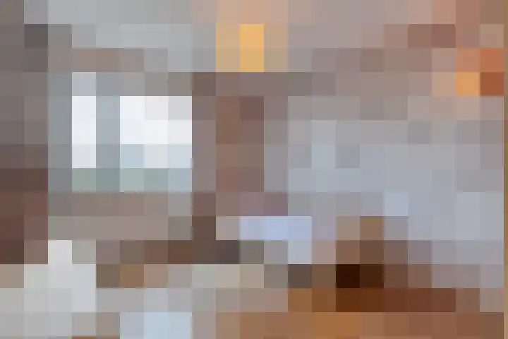 Loozermars-Zuid 44 Gramsbergen thumbnail 26