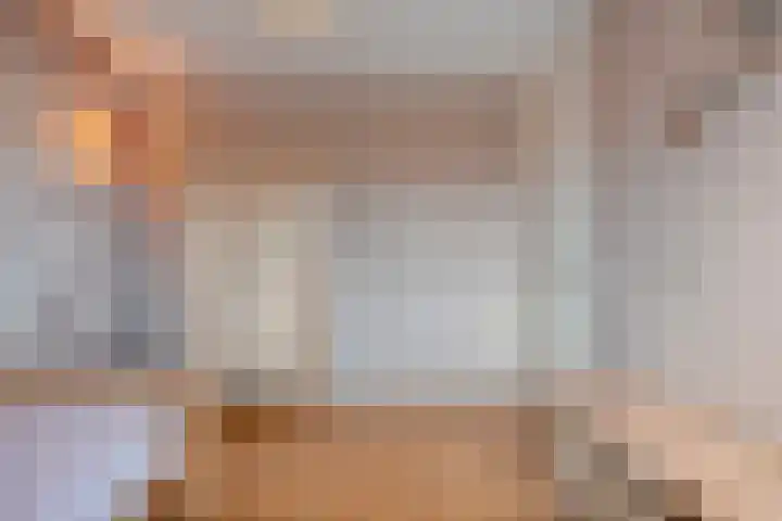Loozermars-Zuid 44 Gramsbergen thumbnail 27