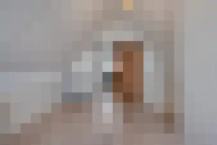 Loozermars-Zuid 44 Gramsbergen thumbnail 29