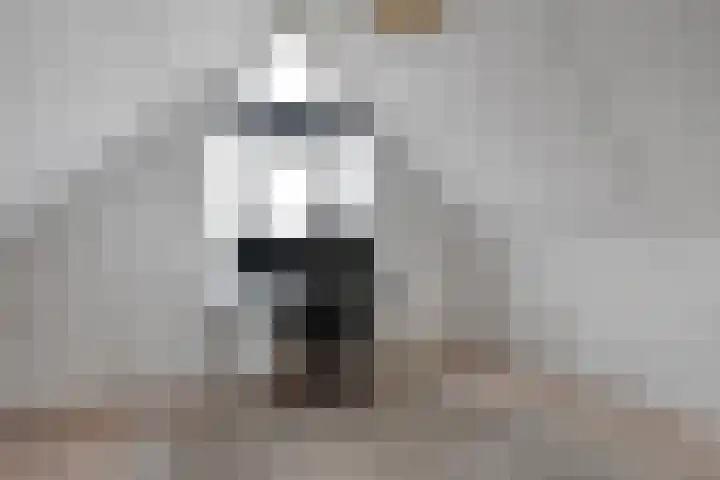 Loozermars-Zuid 44 Gramsbergen thumbnail 30