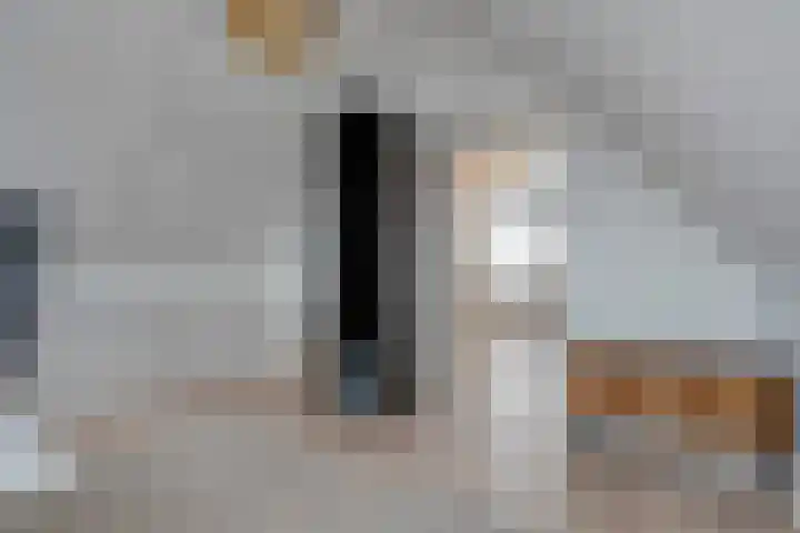 Loozermars-Zuid 44 Gramsbergen thumbnail 31