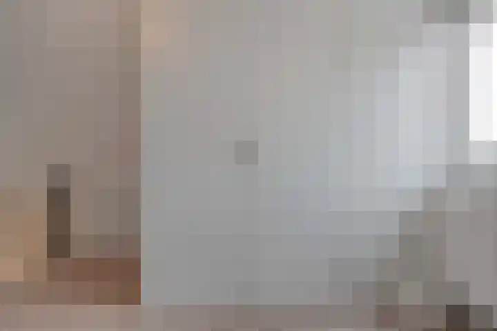 Loozermars-Zuid 44 Gramsbergen thumbnail 32