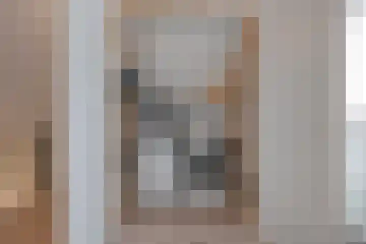 Loozermars-Zuid 44 Gramsbergen thumbnail 33