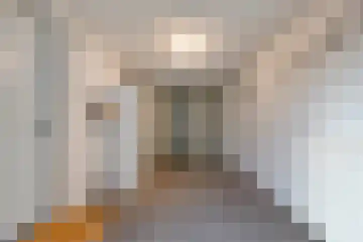 Loozermars-Zuid 44 Gramsbergen thumbnail 34