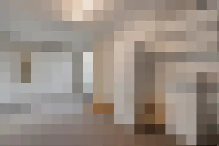 Loozermars-Zuid 44 Gramsbergen thumbnail 35
