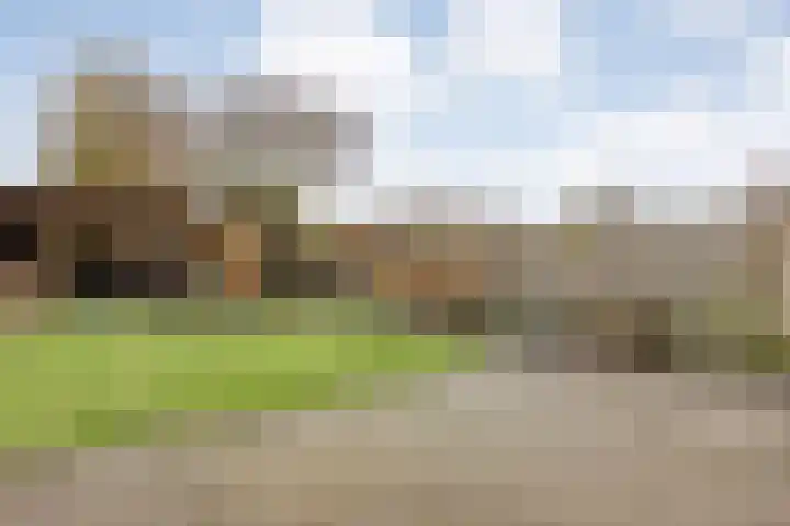 Loozermars-Zuid 44 Gramsbergen thumbnail 36