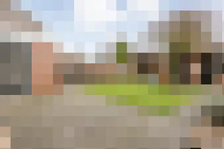 Loozermars-Zuid 44 Gramsbergen thumbnail 37