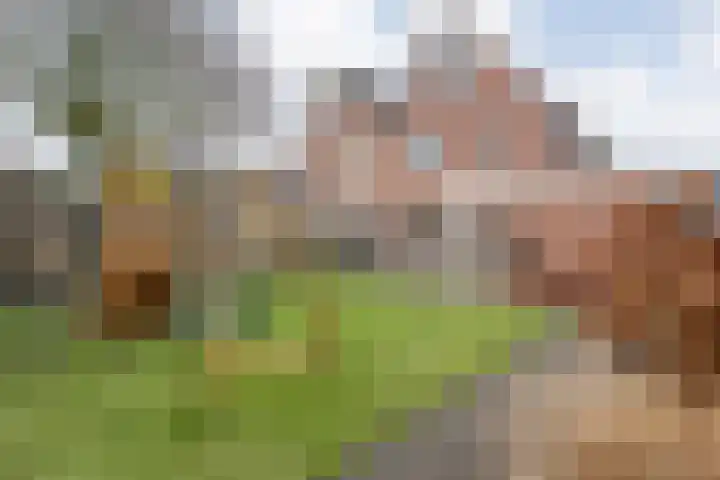 Loozermars-Zuid 44 Gramsbergen thumbnail 38