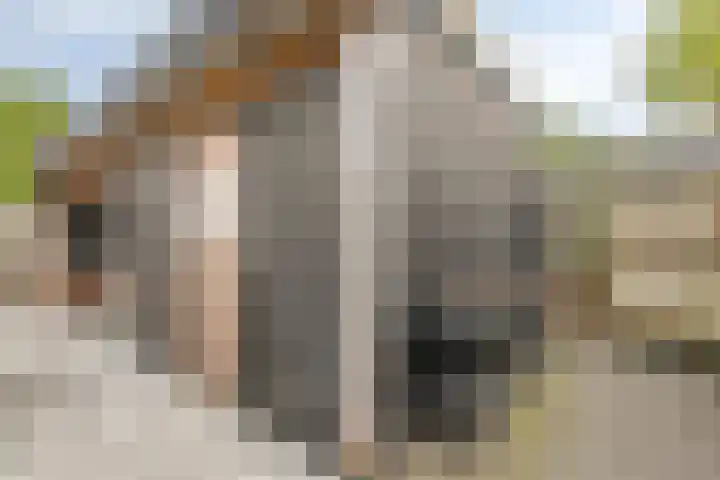 Loozermars-Zuid 44 Gramsbergen thumbnail 39