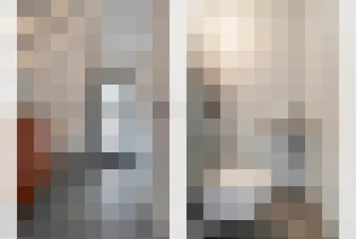 Loozermars-Zuid 44 Gramsbergen thumbnail 4