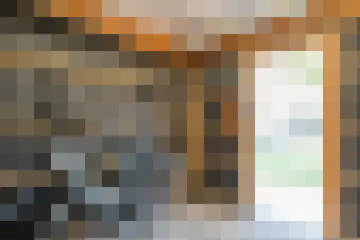 Loozermars-Zuid 44 Gramsbergen thumbnail 41