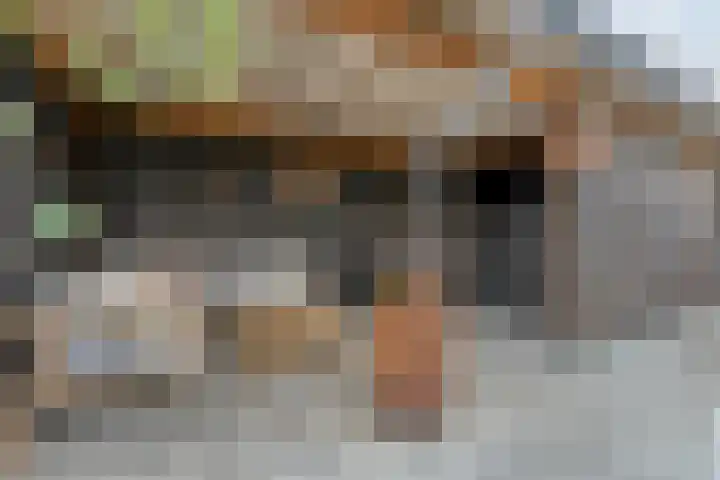 Loozermars-Zuid 44 Gramsbergen thumbnail 42