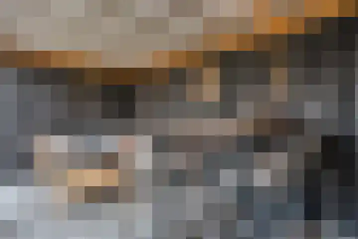 Loozermars-Zuid 44 Gramsbergen thumbnail 43