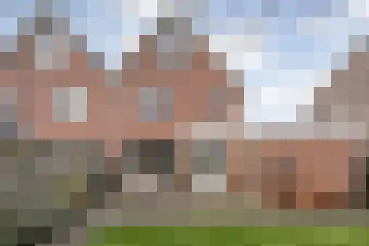 Loozermars-Zuid 44 Gramsbergen thumbnail 44